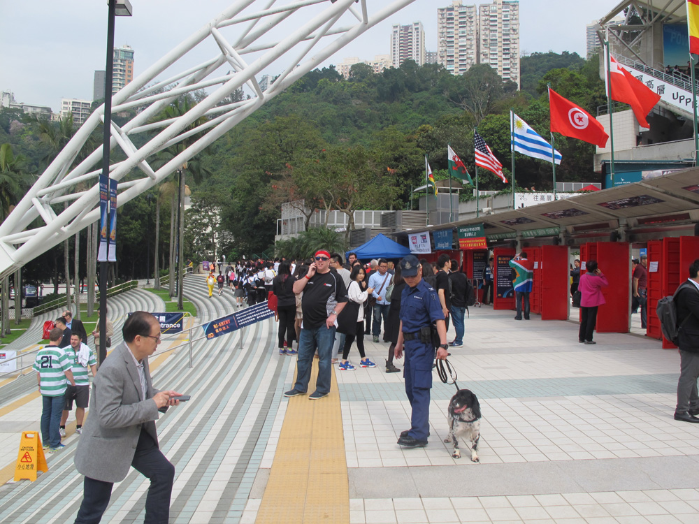 Security and Crowd Safety