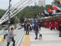 Security and Crowd Safety