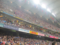 Security and Crowd Safety