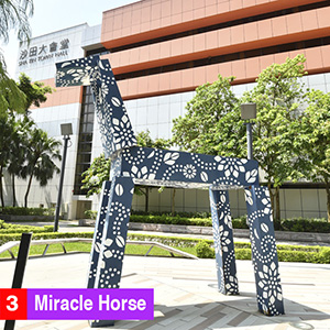 Miracle Horse