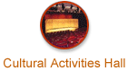 Sha Tin Town Hall - Cultural Activities Hall