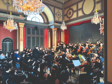 大埔文娛中心 開放日2