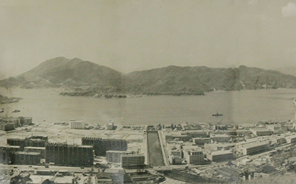 1963年荃湾鸟瞰图