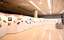 Exhibition Gallery Display Panels 