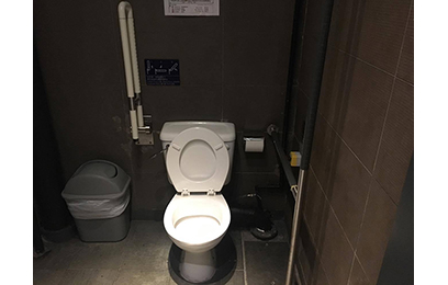Accessible toilet 