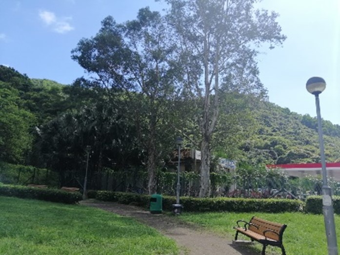 Photo2