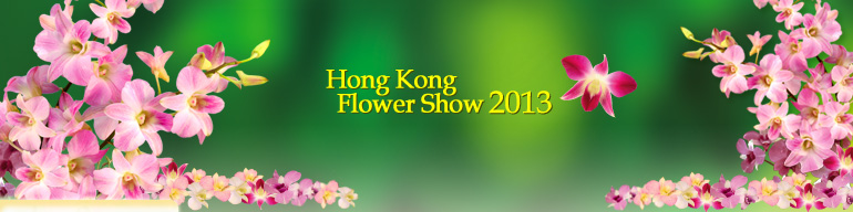 Hong Kong Flower Show 2013