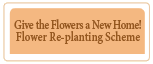 Give the Flowers a New Home! Flower Re-planting Scheme