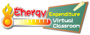 Virtual Classroom Energy Expenditure