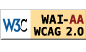 Explanation of WCAG 2.0 Level Double-A Conformance